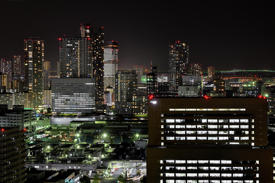 Tokyo Cityscape At Night #9 Photograph by Vladimir Zakharov
