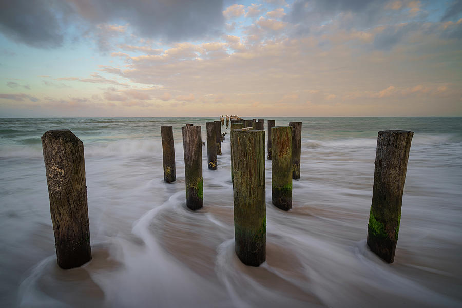 untitled by Bill Martin untitled by Bill Martin