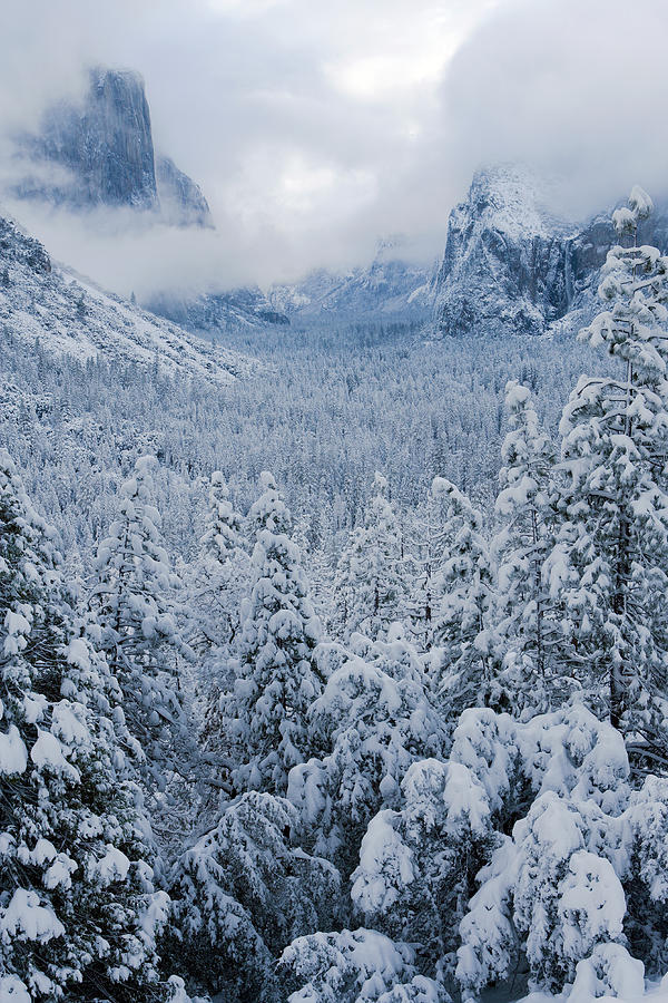 Usa, California, Yosemite National #9 Photograph by Don Smith