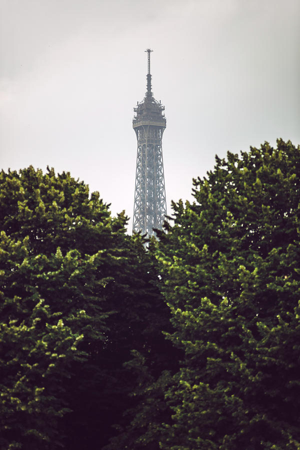 View of Eiffel Tower in Paris, France by Eduardo Huelin View of Eiffel Tower in Paris, France by Eduardo Huelin