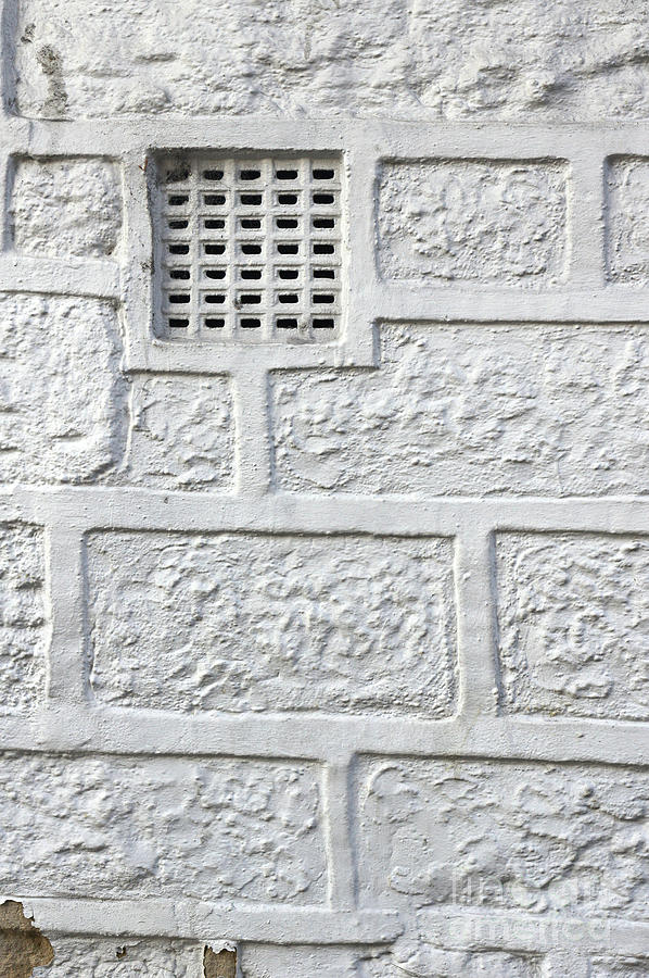 White brick wall #9 Photograph by Tom Gowanlock