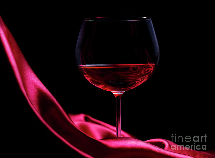 Wine #9 Photograph by Jelena Jovanovic