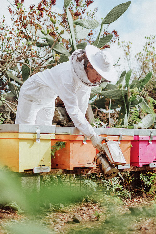 Nature Photograph - Young Woman Beekeeper At Work In A Nature #9 by Cavan Images