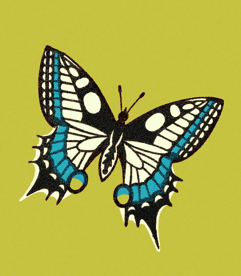 Butterfly Drawing - Butterfly #90 by CSA Images