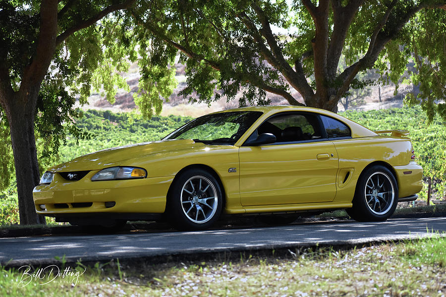 94 Mustang GT Photograph by Bill Dutting