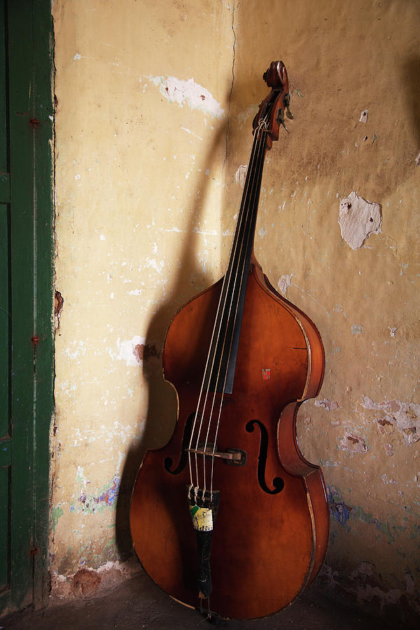 A An Double Bass In The Corner Of A Room Photograph by Russell Monk