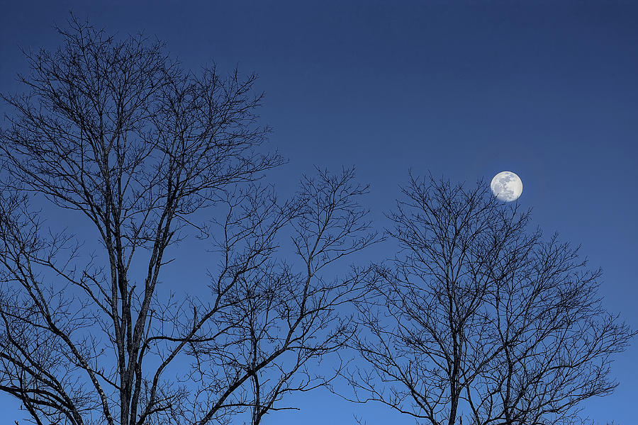 A Bad Moon Arising Photograph
