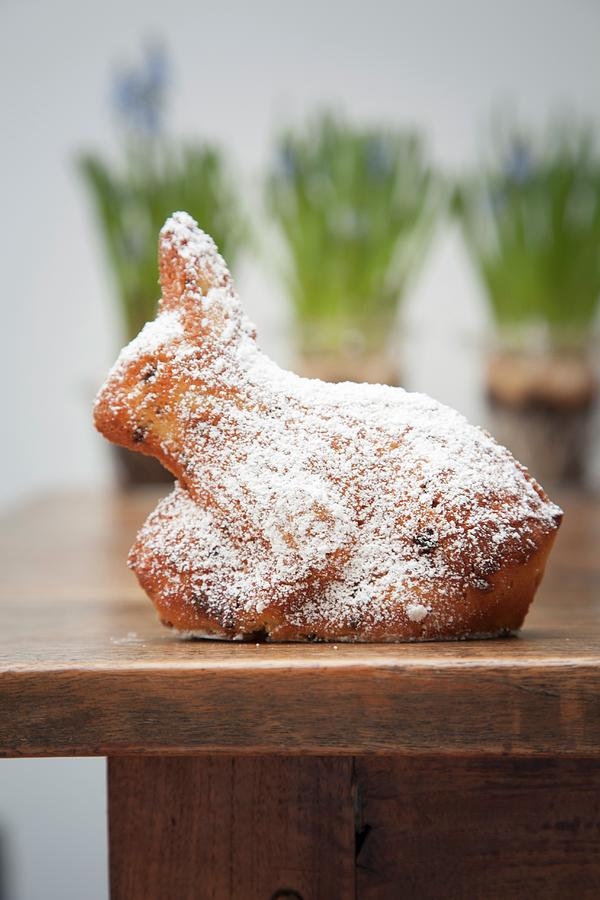 A Baked Easter Bunny Dusted With Icing Sugar Photograph by Sibylle Pietrek