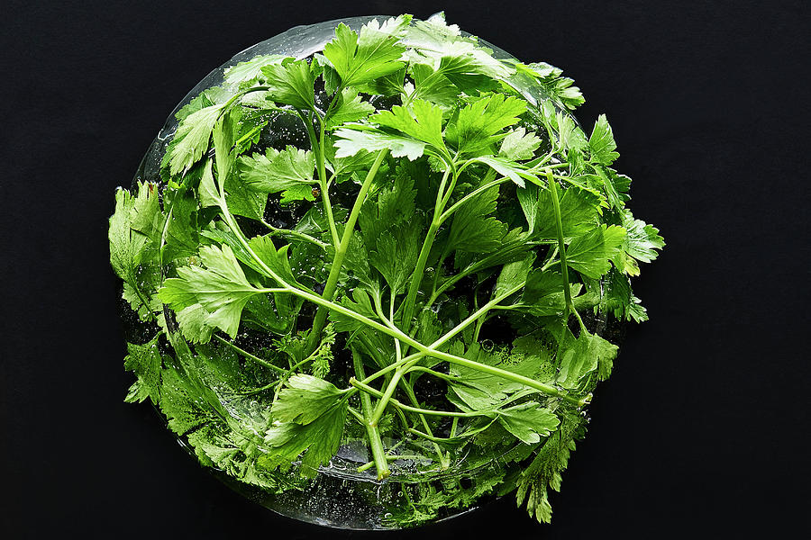 A Ball Of Parsley Photograph by Manfred Rave