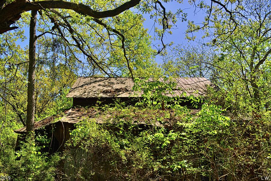 A Barn Among The Trees Photograph by Lisa Wooten
