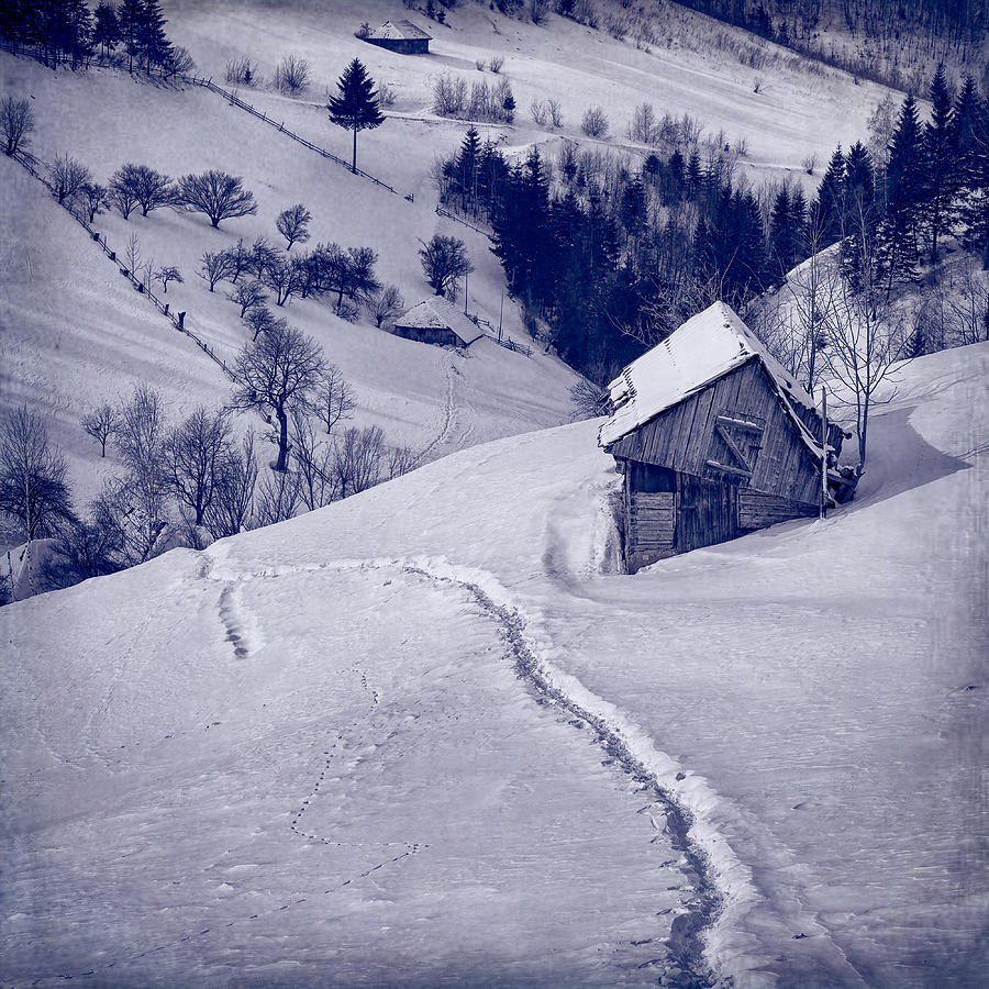 Winter Photograph - A Barn Askew by Mihai Ian Nedelcu