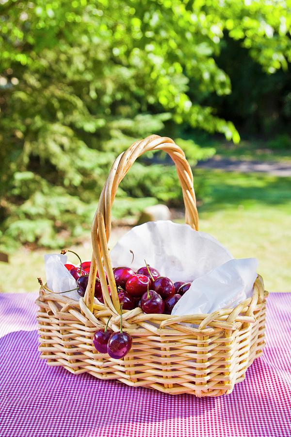 A Basket Of Cherries On A Red-and-white Checked Picnic Blanket, Surrounded By Trees Photograph by Kelly Peloza Photo