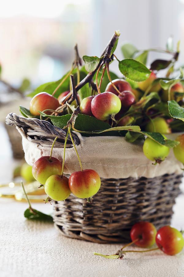 A Basket Of Freshly Picked Ornamental Apples Photograph by Franziska Taube