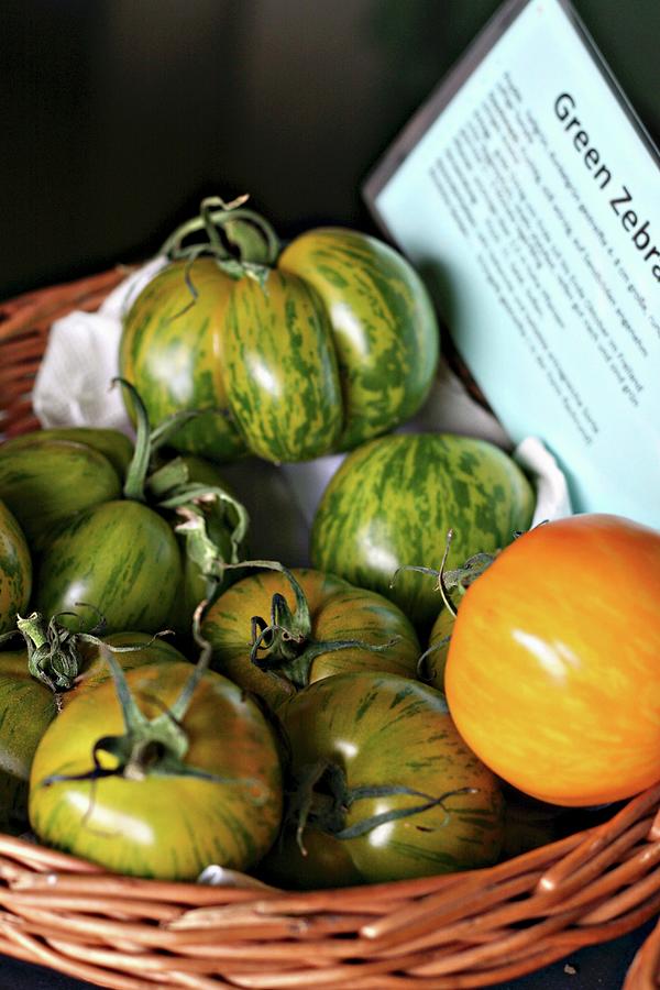 A Basket Of Green Zebra Tomatoes Photograph by Alexandra Panella