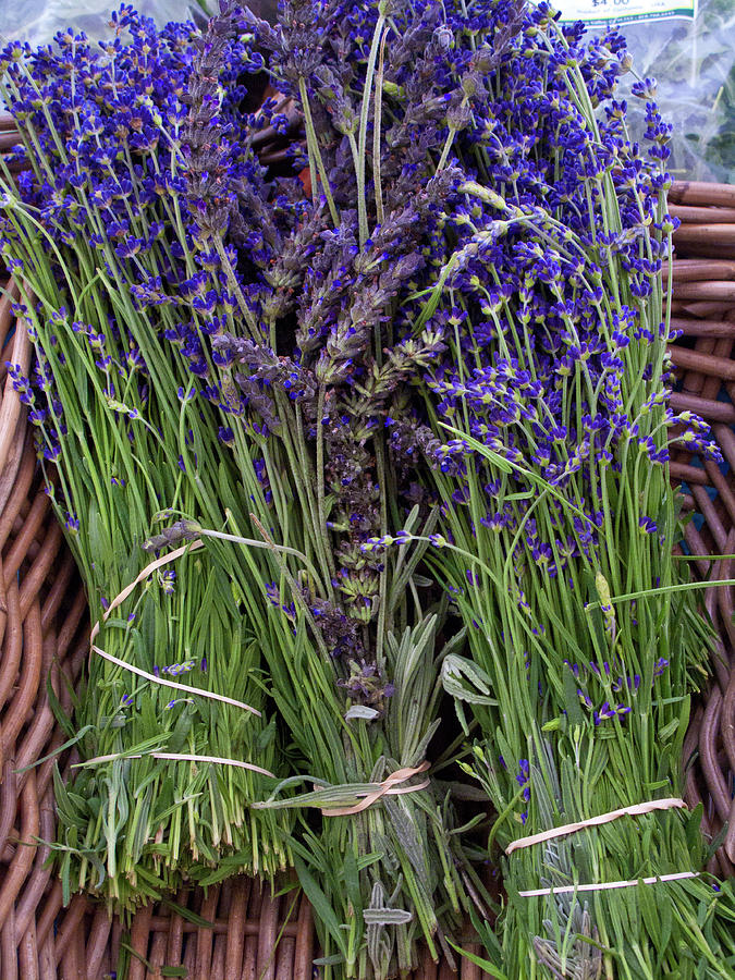 A Basket Of Lavender Bundles Photograph by Bill Boch