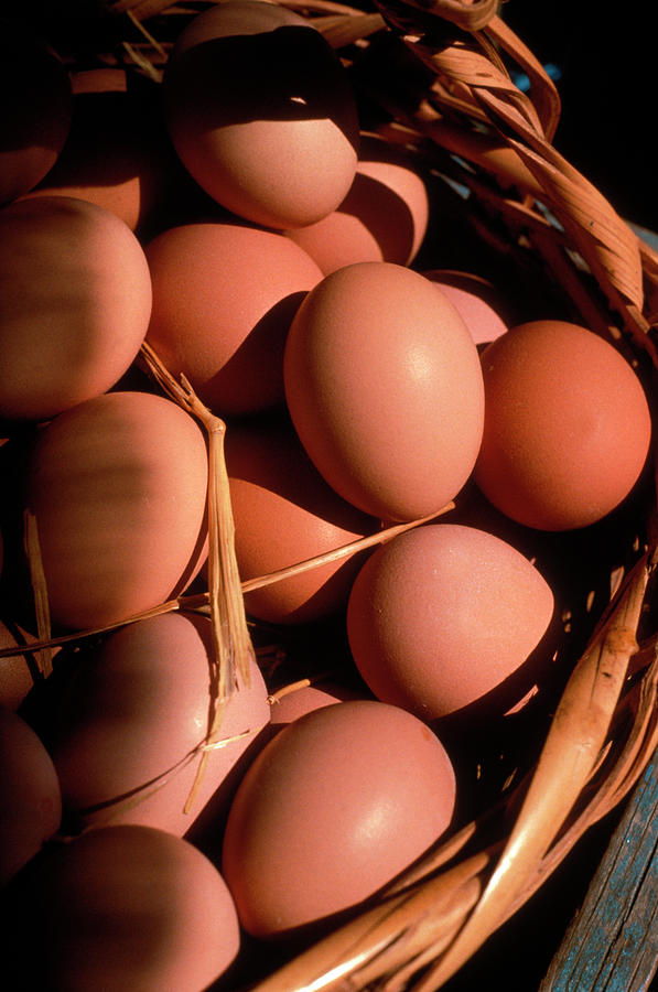 A Basket Of Organic Brown Eggs Photograph by Lyle Leduc