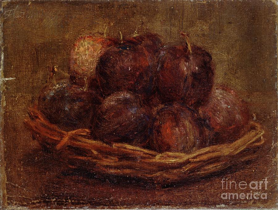 A Basket Of Plums Drawing by Heritage Images