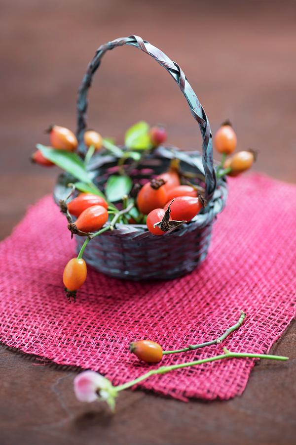 A Basket Of Rosehips Photograph by Mandy Reschke