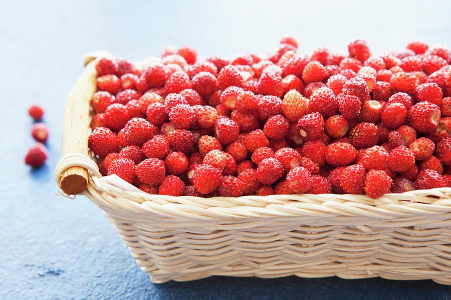 A Basket Of Wild Strawberries Photograph by Nika Moskalenko