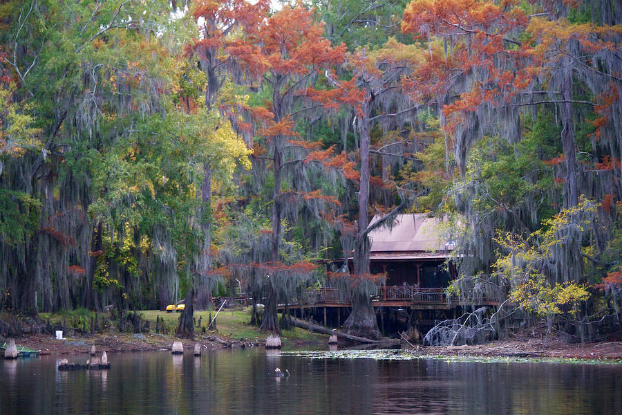 A Bayou Retreat Photograph by Lana Trussell