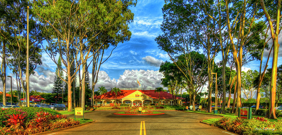 Oahu Hawaii The Pineapple Experience Dole Plantation Store Wahiawa Art Photograph by Reid Callaway