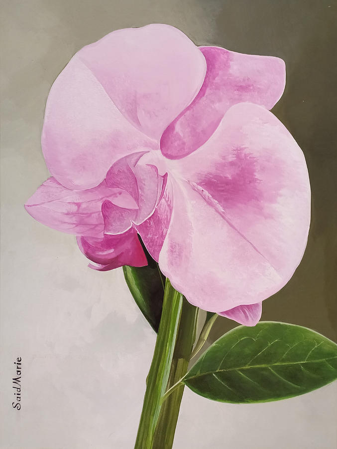 A beautiful rose by Said Marie A beautiful rose by Said Marie