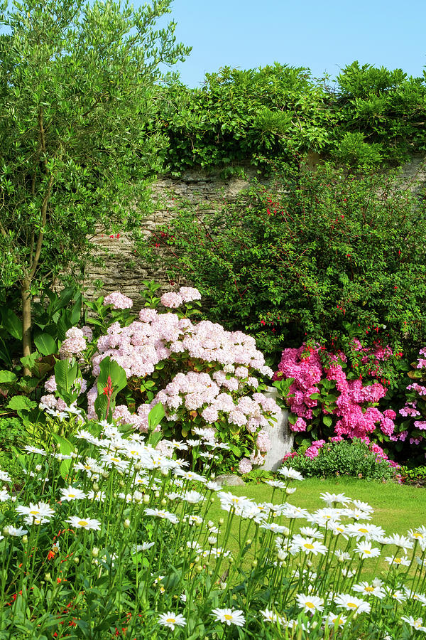 A beautiful summer walled garden border flowerbed Photograph by Seeables Visual Arts