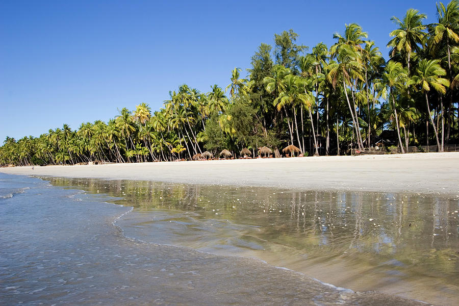 A Beautiful Tropical Beach With Palm Photograph by Mihau
