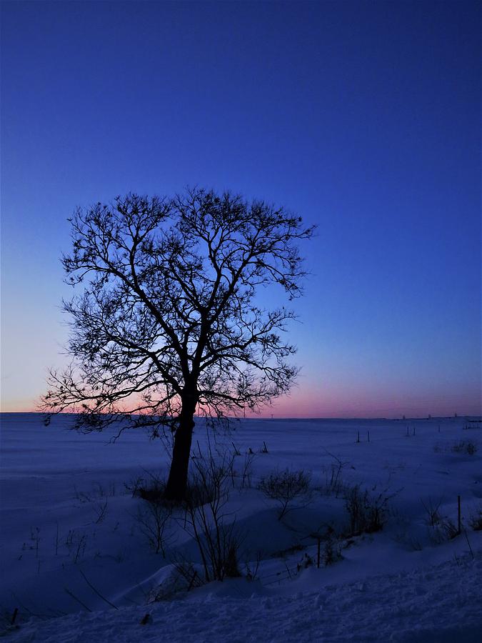 A Beautiful Winters Evening  Photograph by Lori Frisch