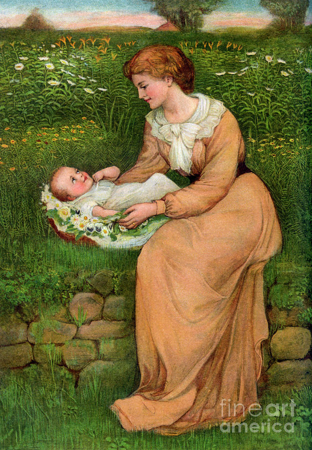 A Bed Of Daisies, 1905. Artist Alphage Drawing by Print Collector