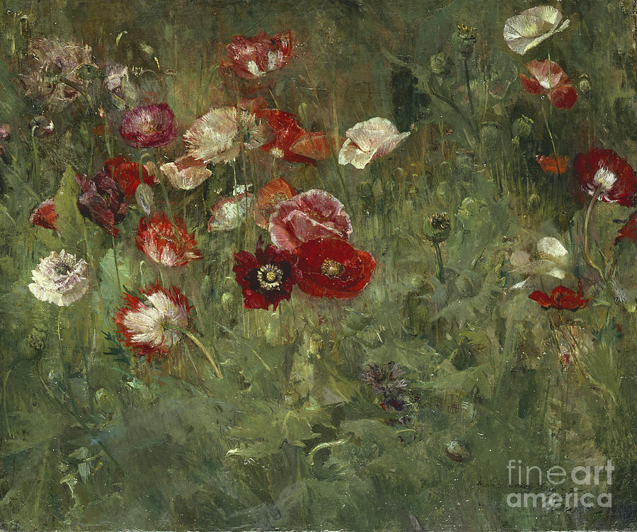 A Bed of Poppies, 1909 Painting by Maria Oakey Dewing