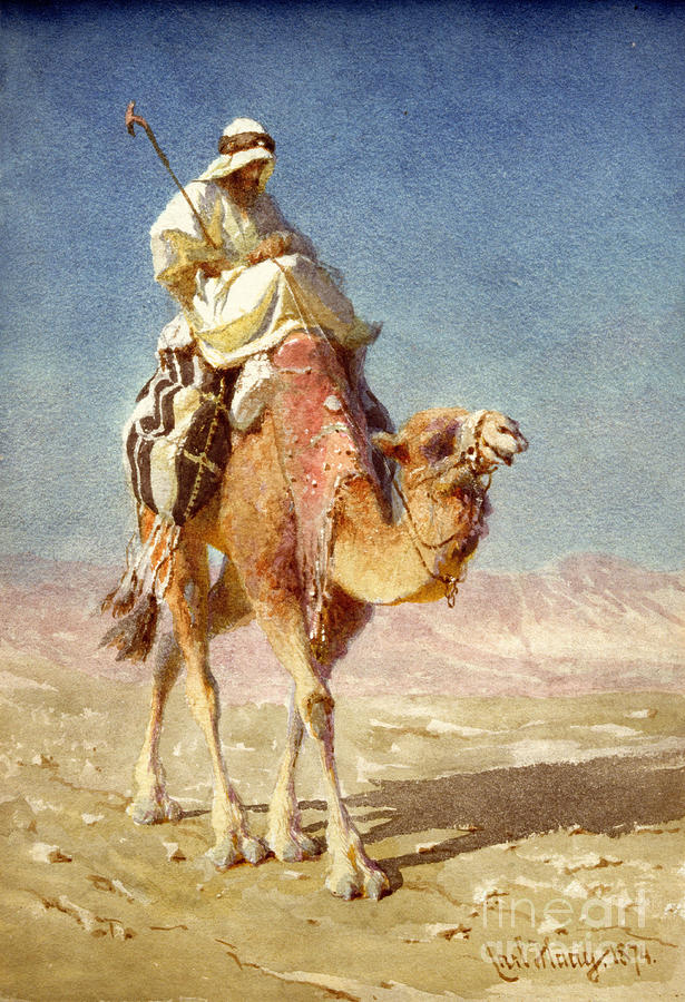 A Bedaween On A Camels Back, 1874 Painting by Carl Haag