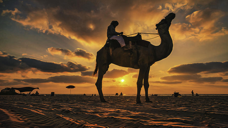 A Bedouin Photograph by Benny Gross
