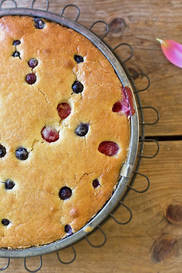 A Berry Cake In A Baking Tin Photograph by Agnes Swart