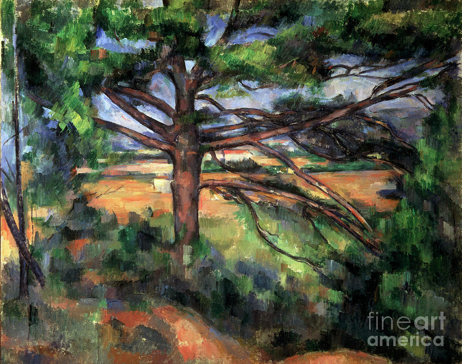 A Big Pine Tree Near Aix, 1895-1897 Drawing by Heritage Images