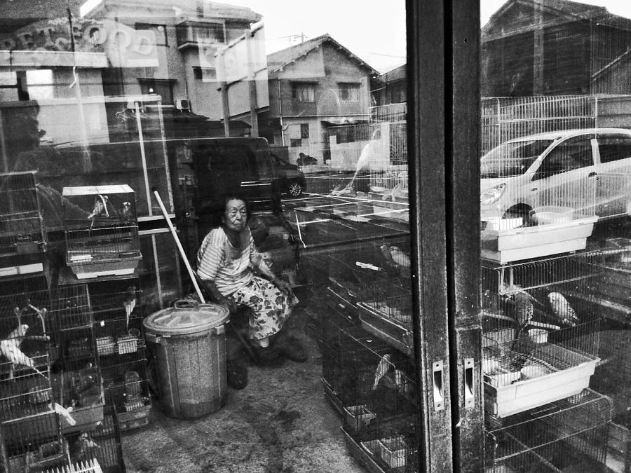 Everyday Photograph - A Bird Seller by Takashi Yokoyama