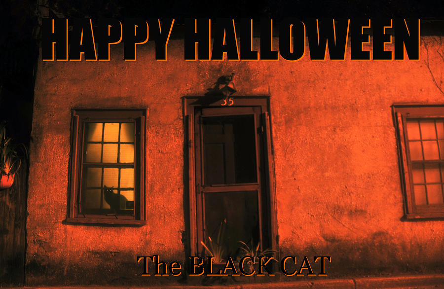A Black Cat Halloween card Photograph by David Lee Thompson