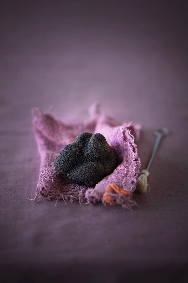 A Black Truffle Mushroom On A Piece Of Pink Fabric Photograph by Jalag / Wolfgang Schardt