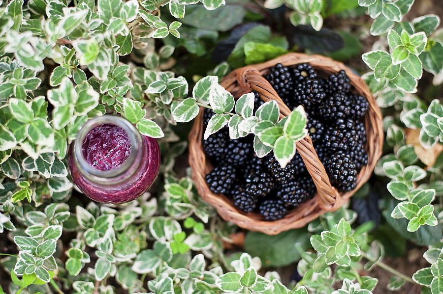 A Blackberry Smoothie And A Basket Of Fresh Blackberries Photograph by Gabriela Lupu