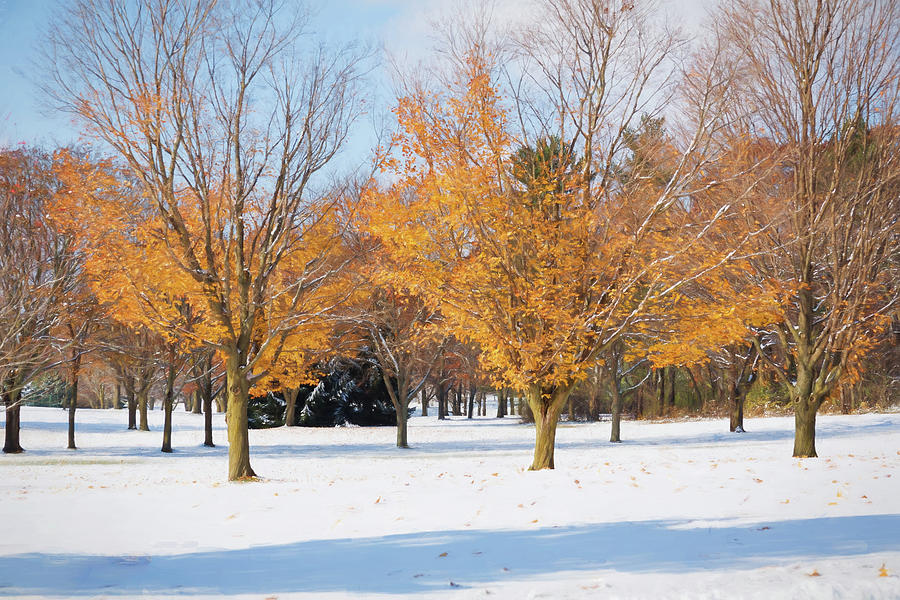 A Blend of Seasons Photograph by Kim Hojnacki