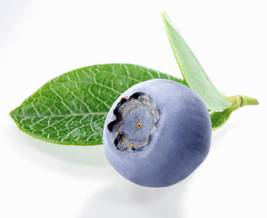 A Blueberry With Leaves Photograph by Fruitbank