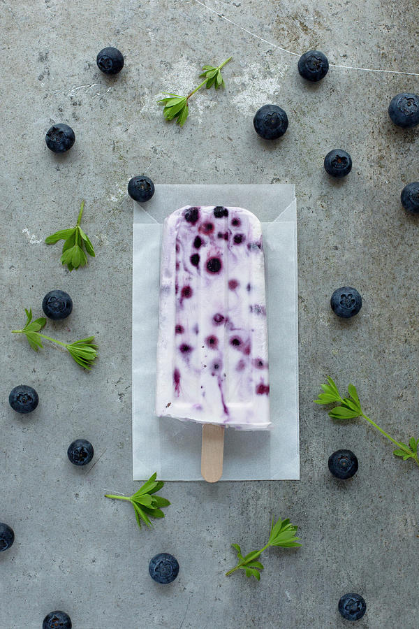 A Blueberry Yoghurt Ice Cream Stick seen From Above Photograph by Tina Engel