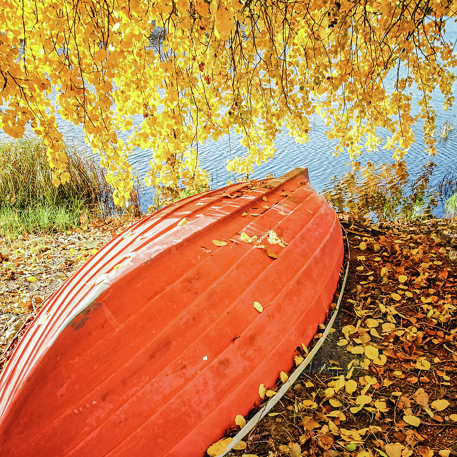 A Boat Covered With Autumn Leaves Photograph by Sami Hurmerinta