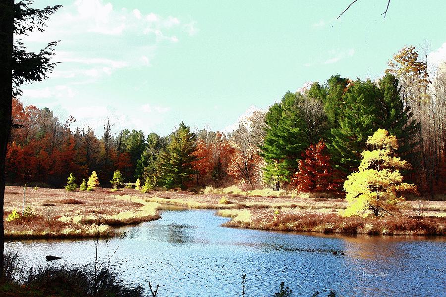 A Bog Lake Autumn by Thomas Colstad A Bog Lake Autumn by Thomas Colstad