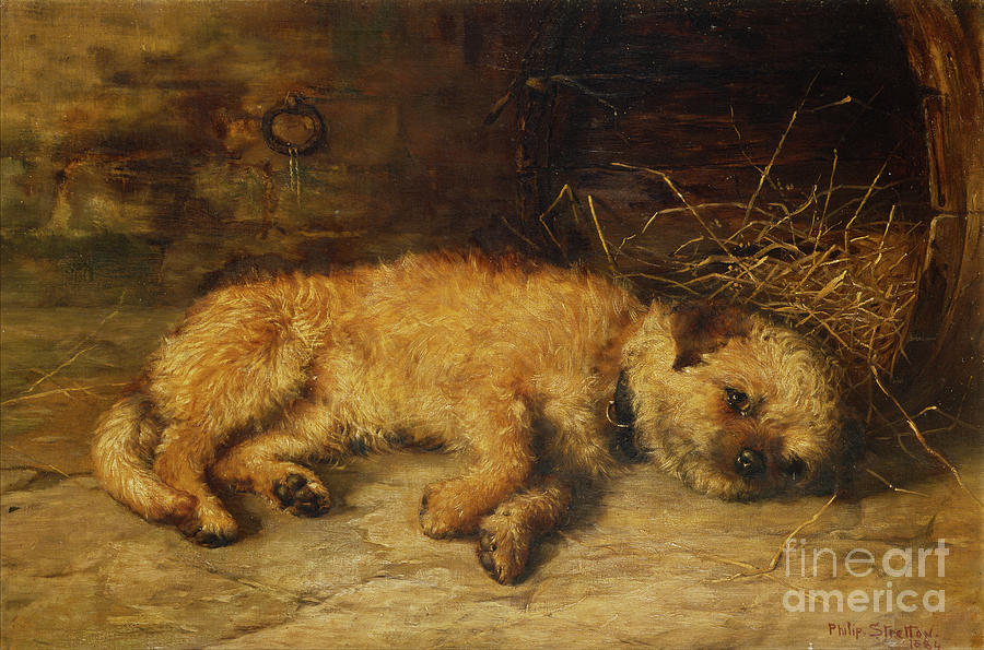 A Border Terrier Puppy, 1884 Painting by Philip Eustace Stretton
