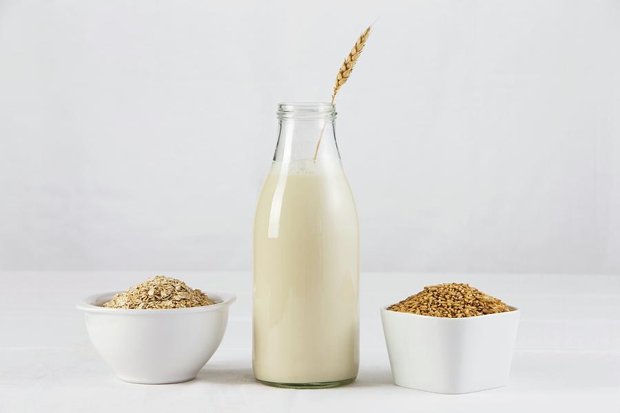 A Bottle Of Oat Milk With Two Dishes Of Oats And Oatmeal Photograph by Lydie Besancon