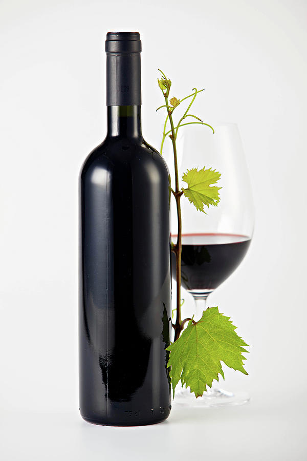 A Bottle Of Red Wine, A Glass Of Red Wine And A Vine Sprig Photograph by Herbert Lehmann