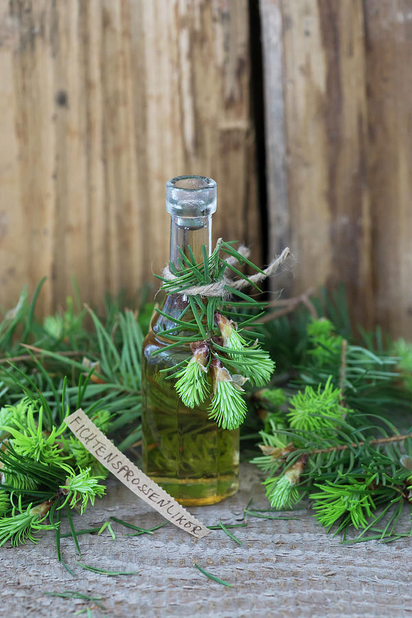 A Bottle Of Spruce Sprout Liqueur Photograph by Martina Schindler