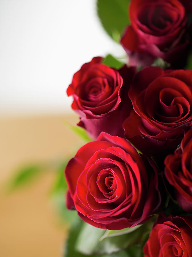 A Bouquet Of Red Roses, High Angle Photograph by Larry Washburn