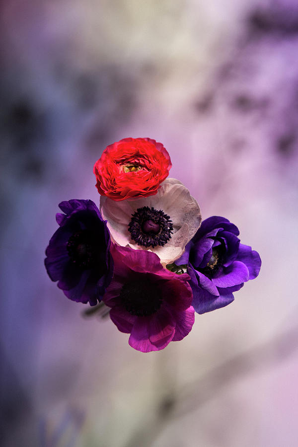 A Bouquet Of Vibrantly Hued Oriental Photograph by Halfdark